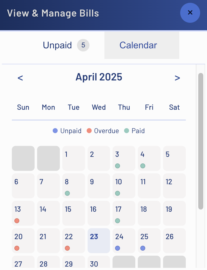 RememberBill App Interface
